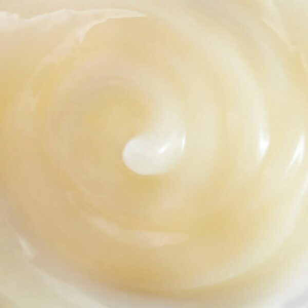 ESPA Face Cleansers Active Nutrients Yuzu & Ginger Cleansing Sorbet 100ml — изображение 4