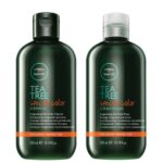 Paul Mitchell Bonus Bags Tea Tree Special Color Shampoo 300ml & Conditioner 300ml