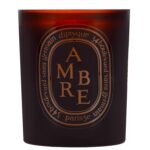 Diptyque Ambre Scented Candle 300g