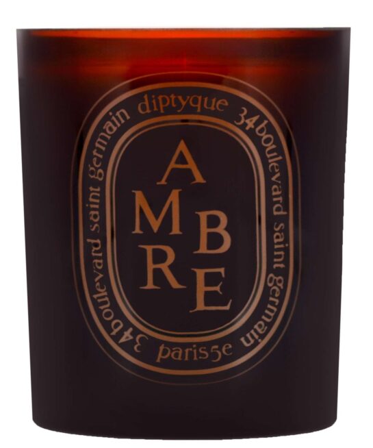 Diptyque Ambre Scented Candle 300g