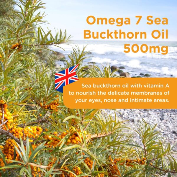 Healthspan Vitamins & Supplements Omega 7 Sea Buckthorn Oil Capsules x 60 — изображение 6