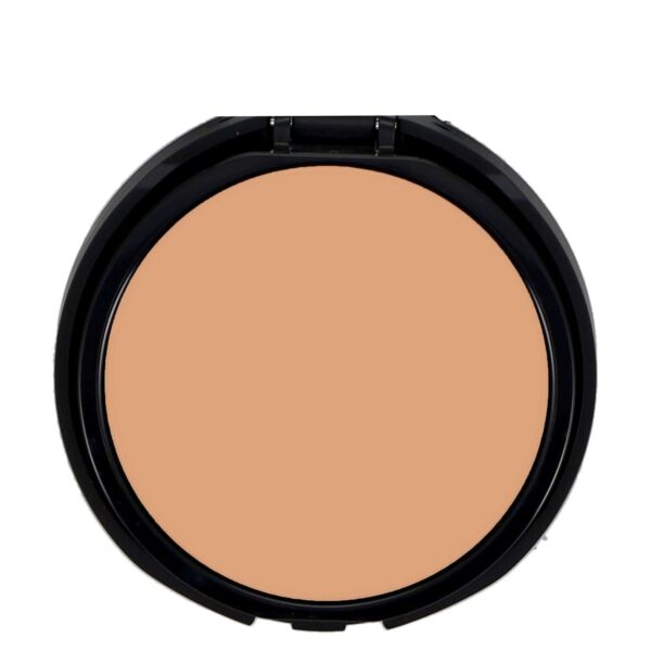bareMinerals BarePro 24HR Skin-Perfecting Powder Foundation Fair 8g