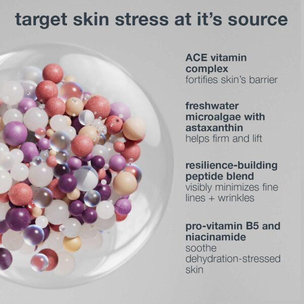 Dermalogica Multivitamin Power Recovery Cream 50ml - Image 7