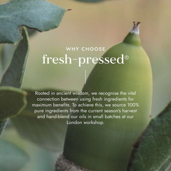 Fushi Hair Care Organic Argan Oil 30ml — изображение 6